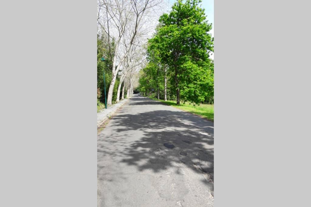 Guethary Appartement Plain Pied Proche Plage Cenitz Zewnętrze zdjęcie